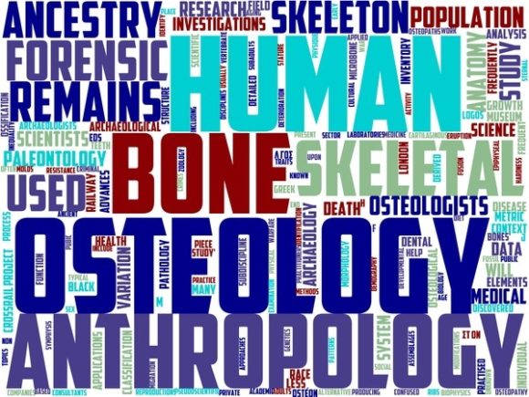 Osteology Wordart Crafting