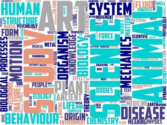 Pelology Wordart Sticker: Hand-Drawn Wordclouds for Real Creative Work