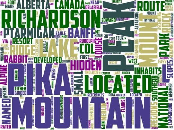 Pika Peak Wordart Tshirt: Hand-Drawn Inspiration for Real Projects