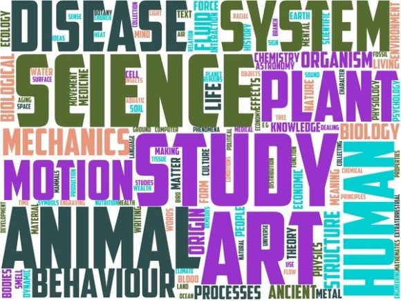 Pisteology Wordart Wallpaper