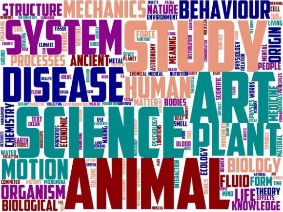 Punnology Wordart Sublimation: Hand-Drawn Inspiration for Creative Projects